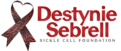 Destynie Sebrell Sickle Cell Foundation